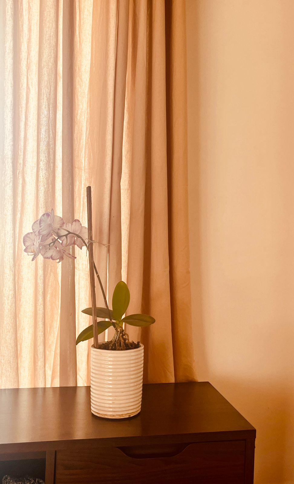 Beautifully Hand Printed Pure Cotton Curtains - Cotton Mill Nepal