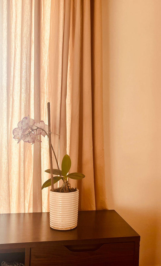 Beautifully Hand Printed Pure Cotton Curtains - Cotton Mill Nepal
